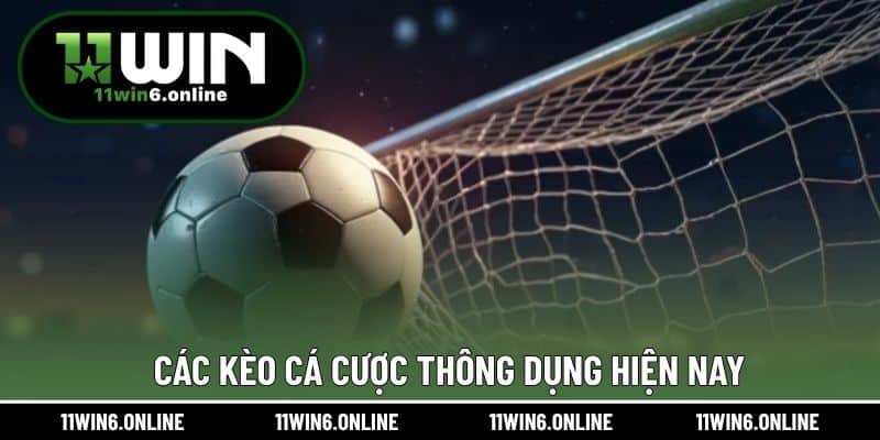 Các kèo cá cược thông dụng hiện nay