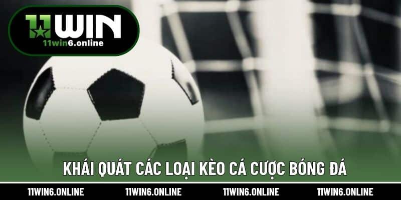 Khái quát các loại kèo cá cược bóng đá